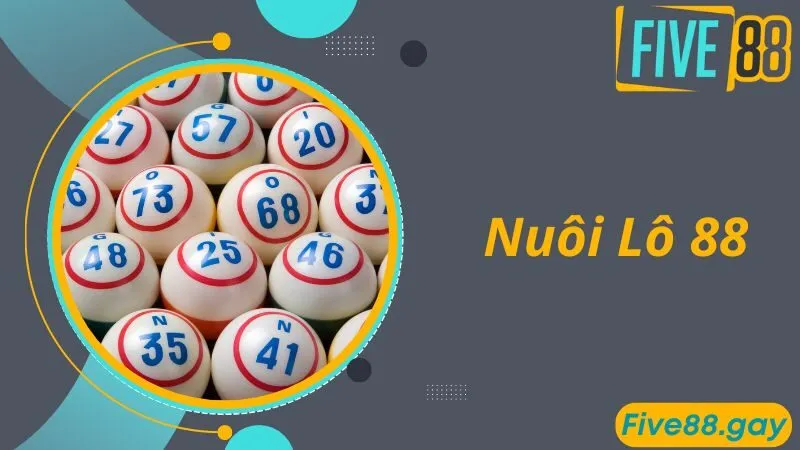 Nuôi Lô 88 - Chuyên Trang Nuôi Lô Đề Miền Bắc Chuẩn Xác Nhất